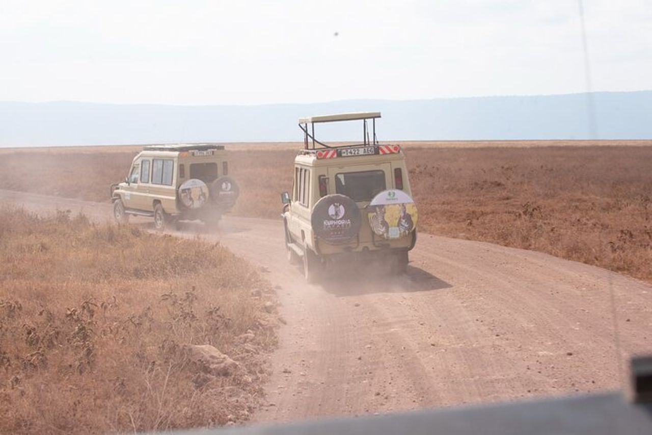 Gita di un giorno al cratere di Ngorongoro — 7