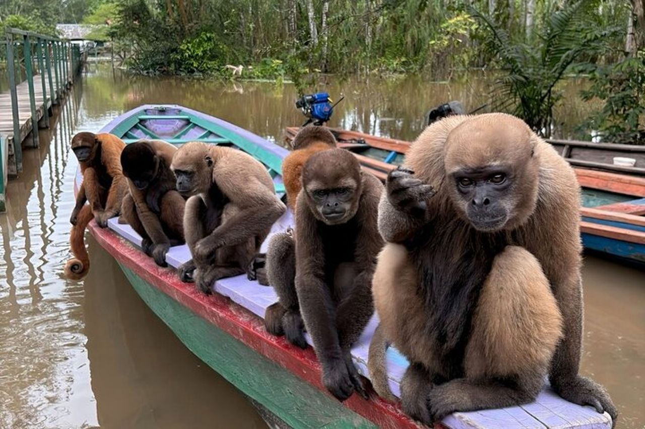 Monkey Island, Rio delle Amazzoni e specie acquatiche autoctone - Tutti i biglietti — 5