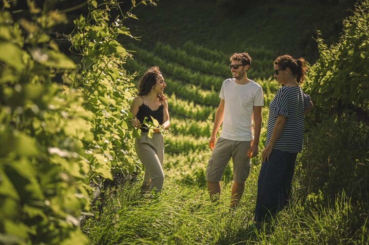 Vino Pic Nic con splendida vista lago a Ledro — 9