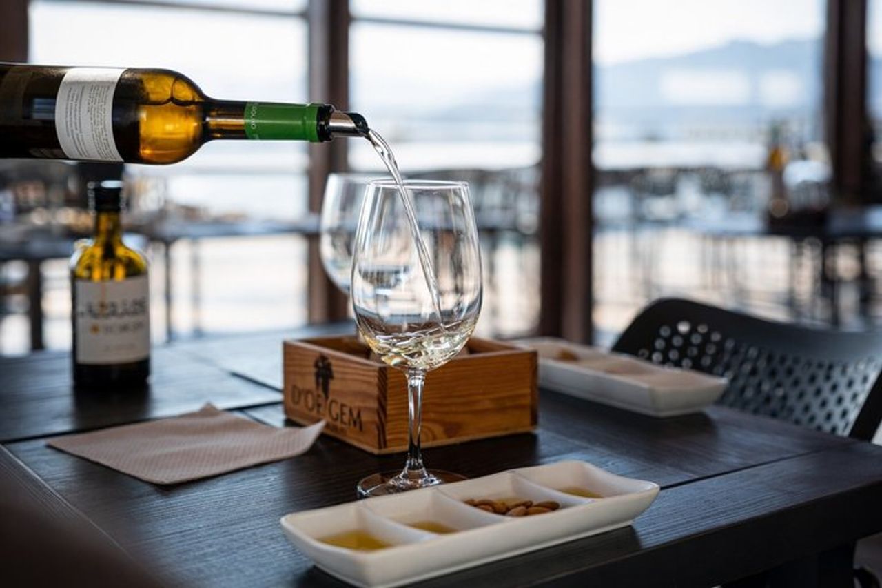 Tour di un giorno della Valle del Douro con crociera sul fiume, visita della cantina e pranzo — 5