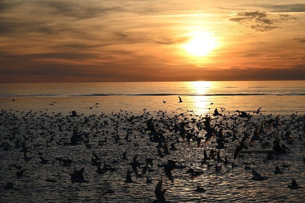 Crociera SeaQuest Sunset Dolphin a Destin — 9