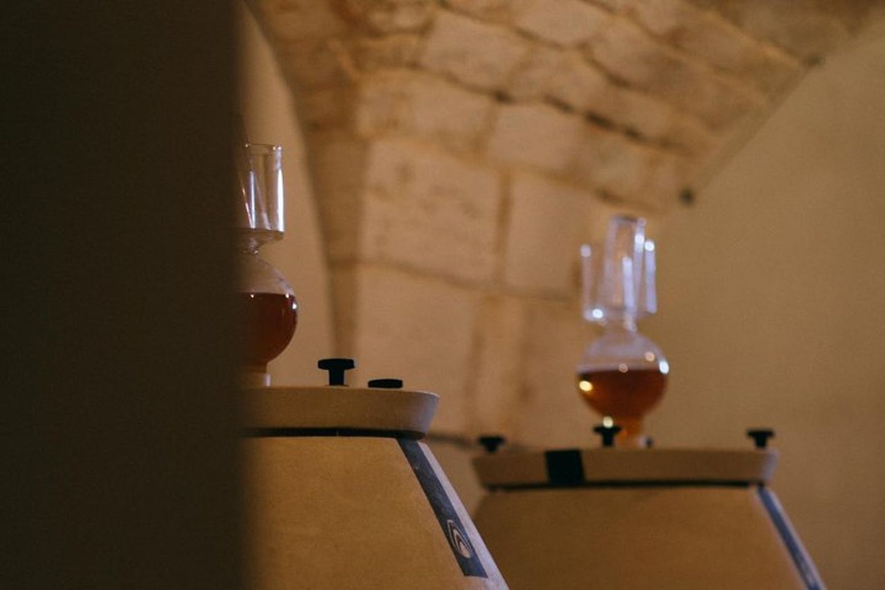 Locorotondo: Exclusive Cooking Class at the Winery — 3