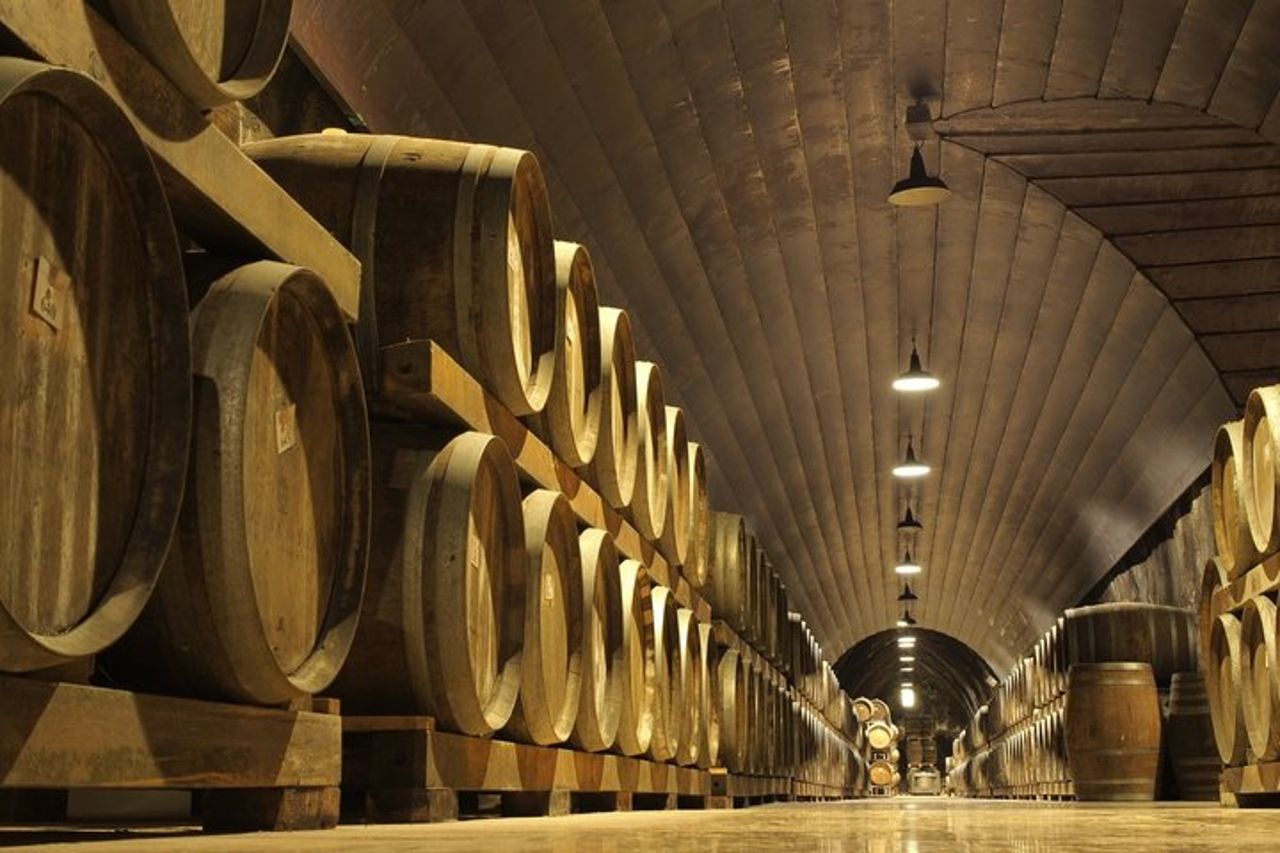 Tour di mezza giornata a Soave Town e degustazione di vini dal Lago di Garda — 5