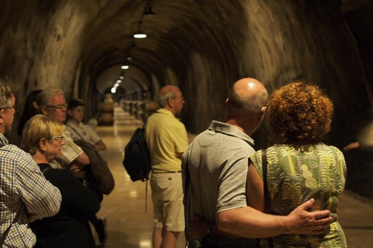 Tour di mezza giornata a Soave Town e degustazione di vini dal Lago di Garda — 6