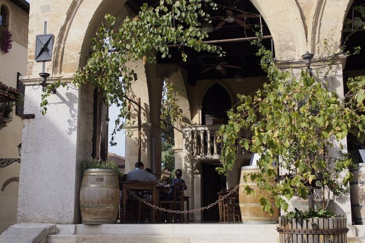 Tour di mezza giornata a Soave Town e degustazione di vini dal Lago di Garda — 7
