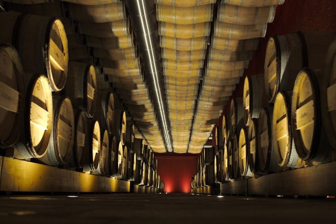 Tour di mezza giornata a Soave Town e degustazione di vini dal Lago di Garda — 9