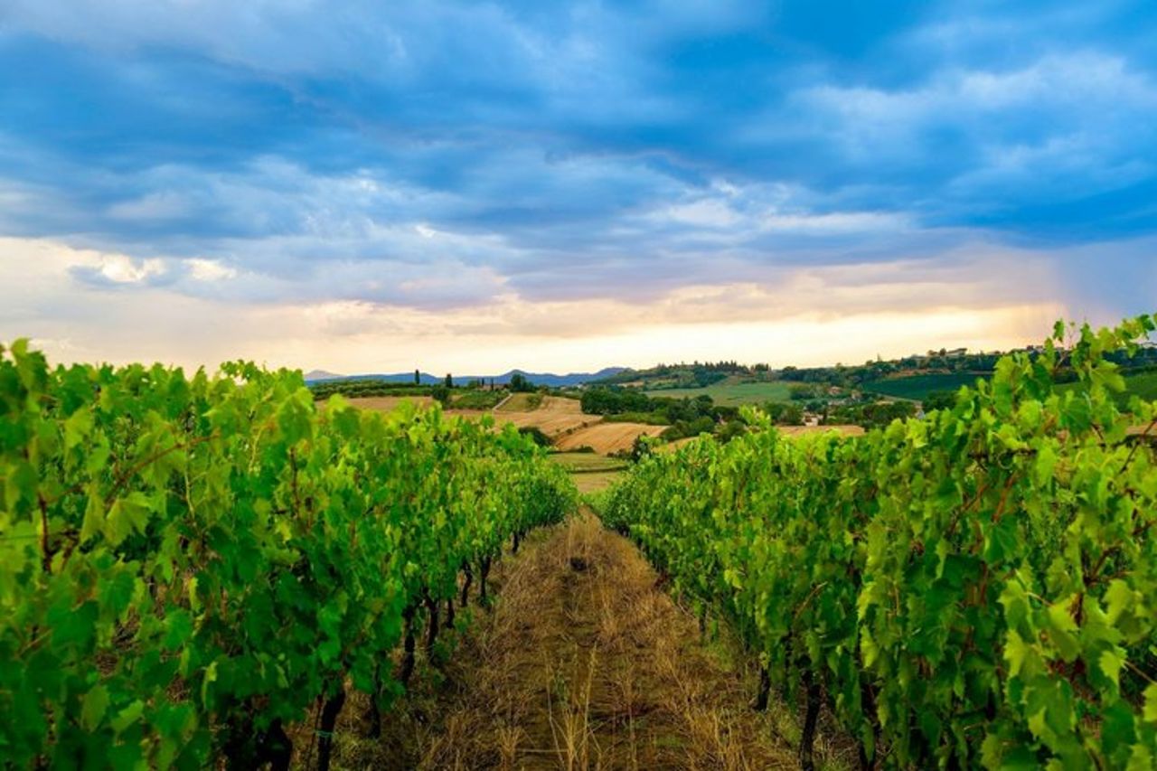 Escursione a terra in Toscana da Civitavecchia : città collinari — 9