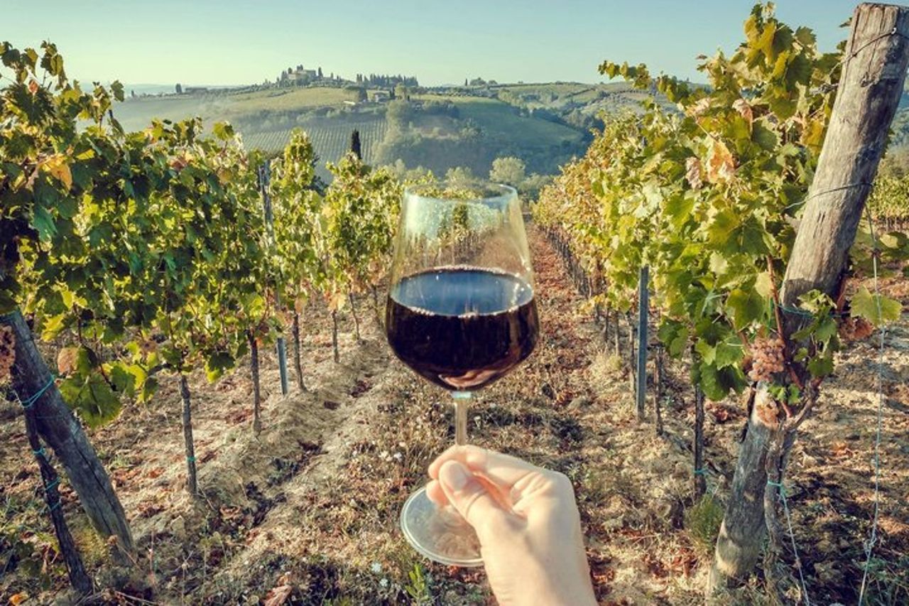 Wine Lovers Experience in Montalcino — 5