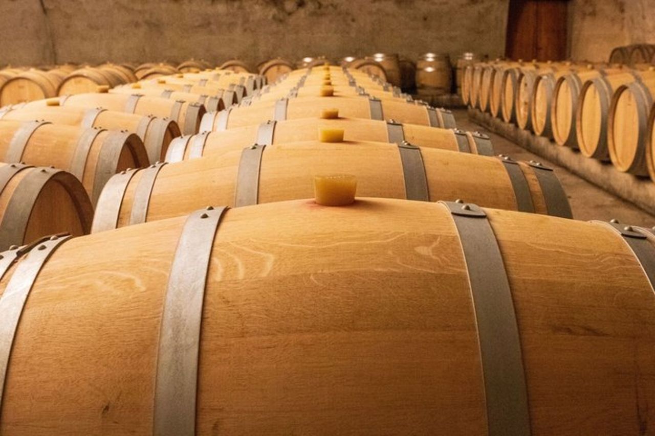 Wine Lovers Experience in Montalcino — 7