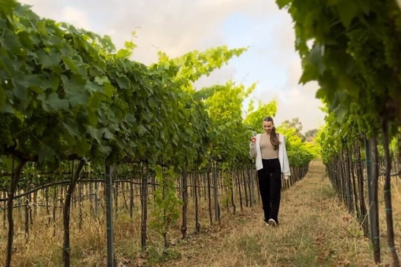 Degustazione di vino e prodotti tipici — 2
