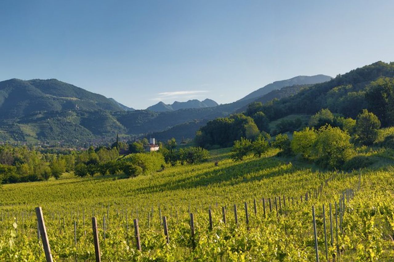 Tour del vino Franciacorta da Milano con Degustazioni — 3