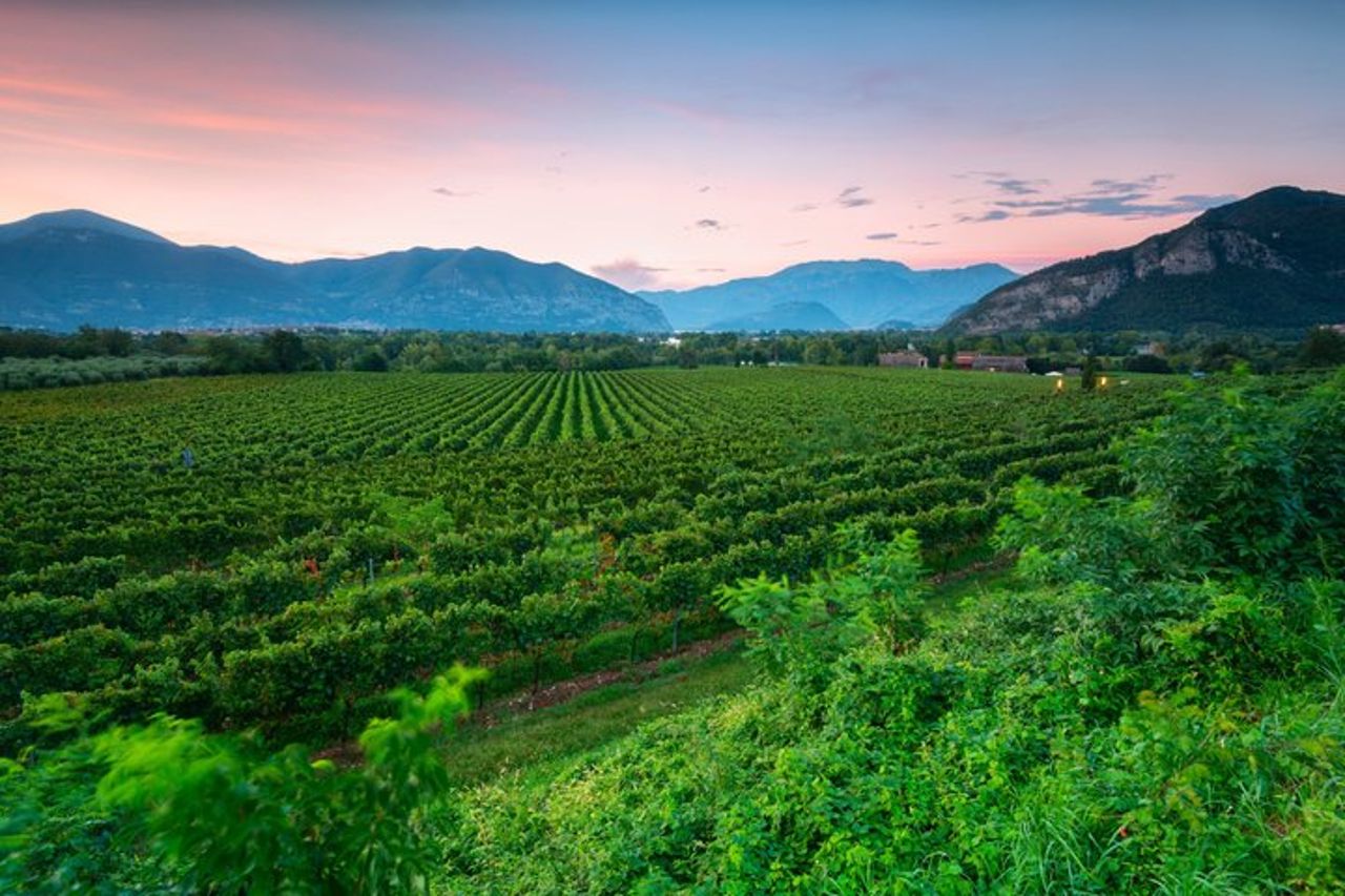 Tour del vino Franciacorta da Milano con Degustazioni — 7