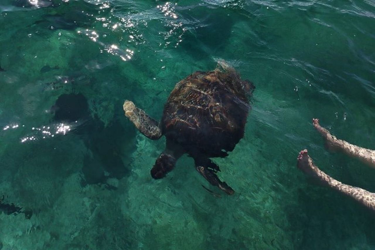 Snorkeling e pesca a Puerto Morelos — 2