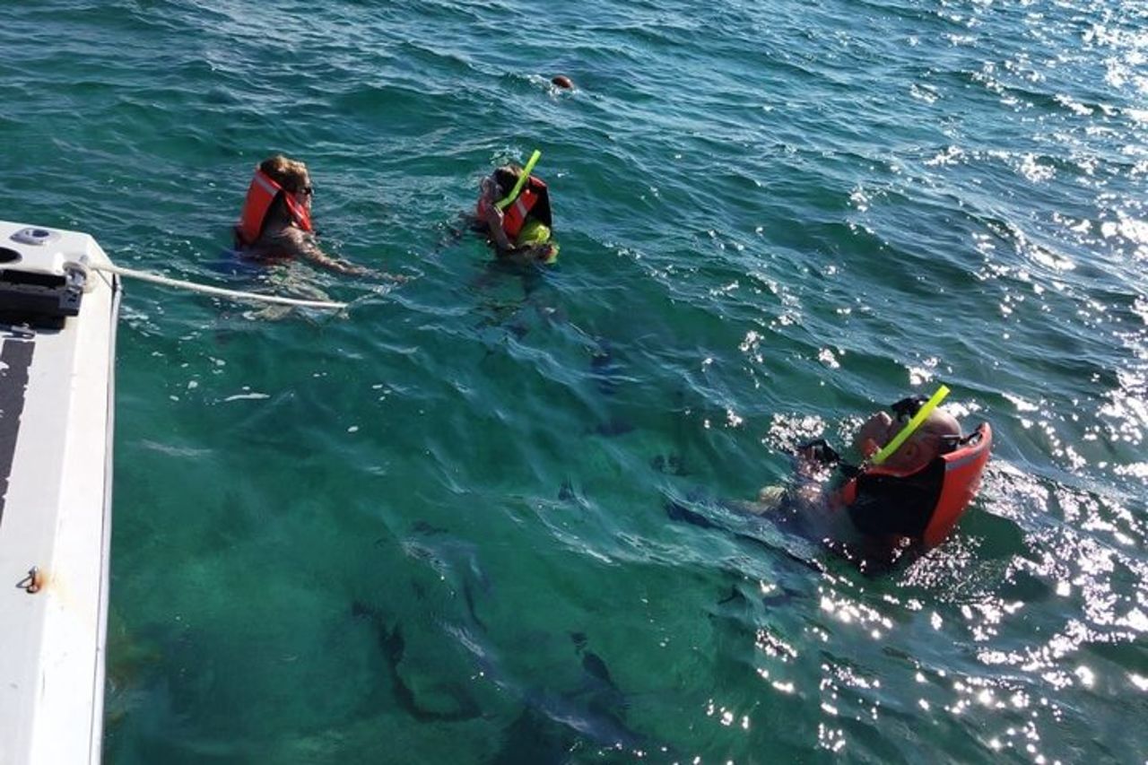 Snorkeling e pesca a Puerto Morelos — 3