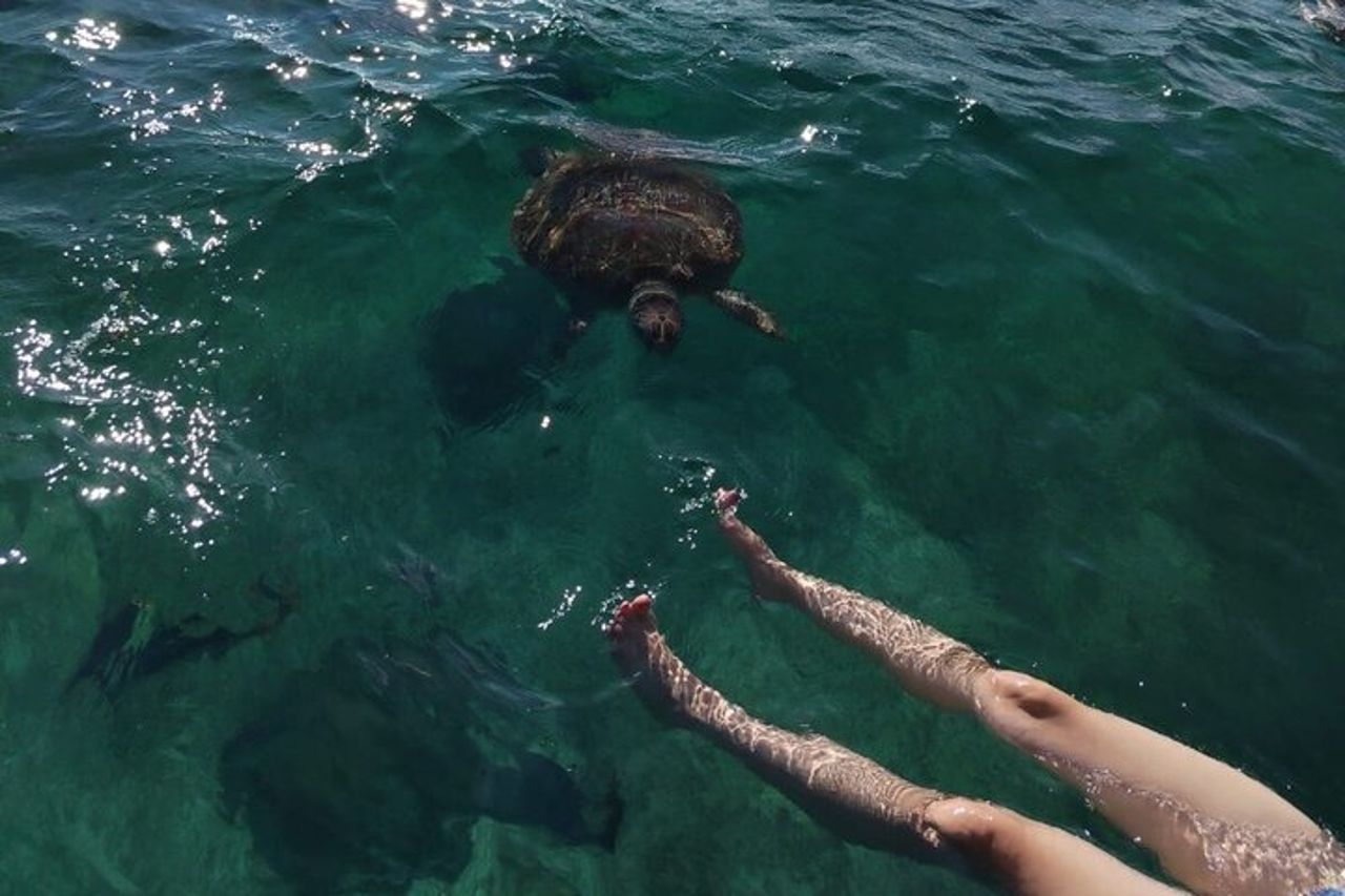 Snorkeling e pesca a Puerto Morelos — 7