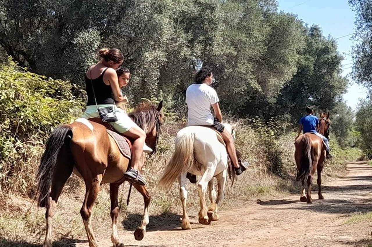 Escursione a cavallo — 3