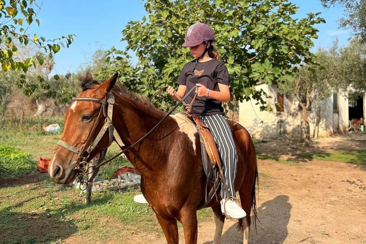 Escursione a cavallo — 5