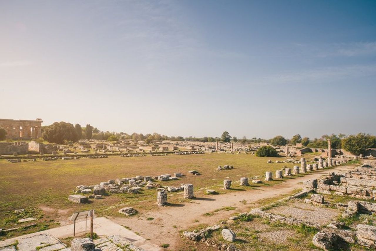 Escursione privata a terra a Salerno Paestum e Museo Archeologico — 8