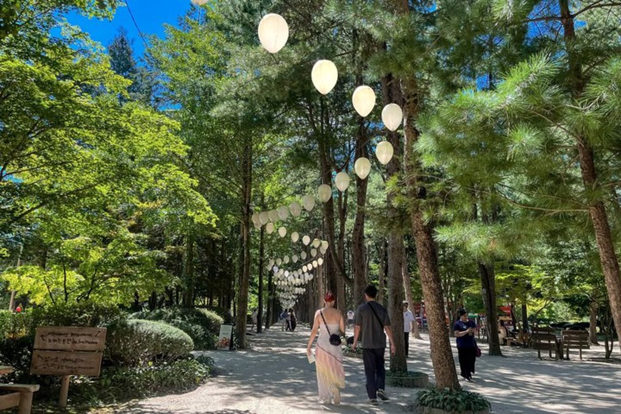 Gita di un giorno a Nami Island con Gangchon Rail Bike da Seul — 8
