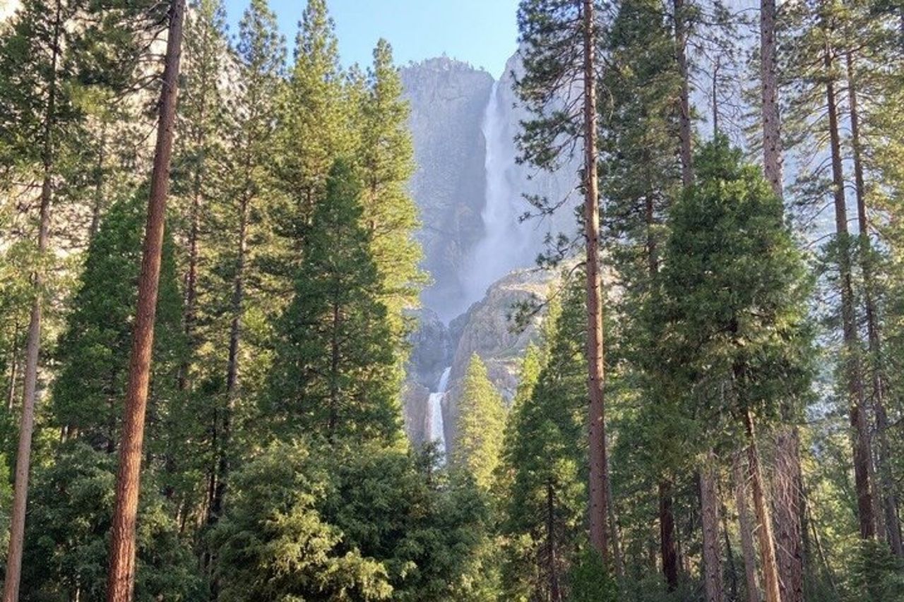 Tour di 2 giorni da San Francisco a Kings Canyon e Yosemite — 2