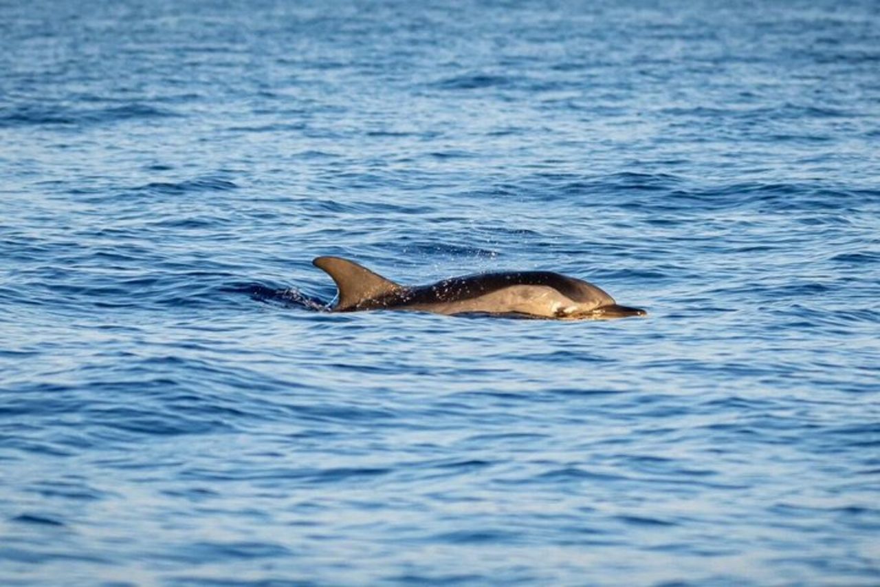 Escursione in barca alle grotte termali di Giardini Naxos e Taormina — 5