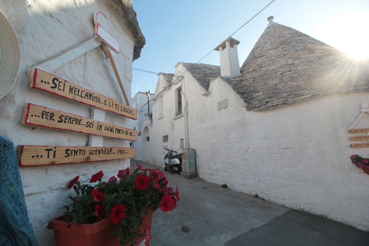 Alberobello, Locorotondo & Ostuni: tour privato di un'intera giornata — 8