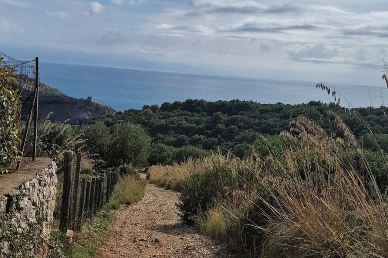 Sentiero escursionistico mediterraneo Nuota ed esplora la Costa del Cilento — 6