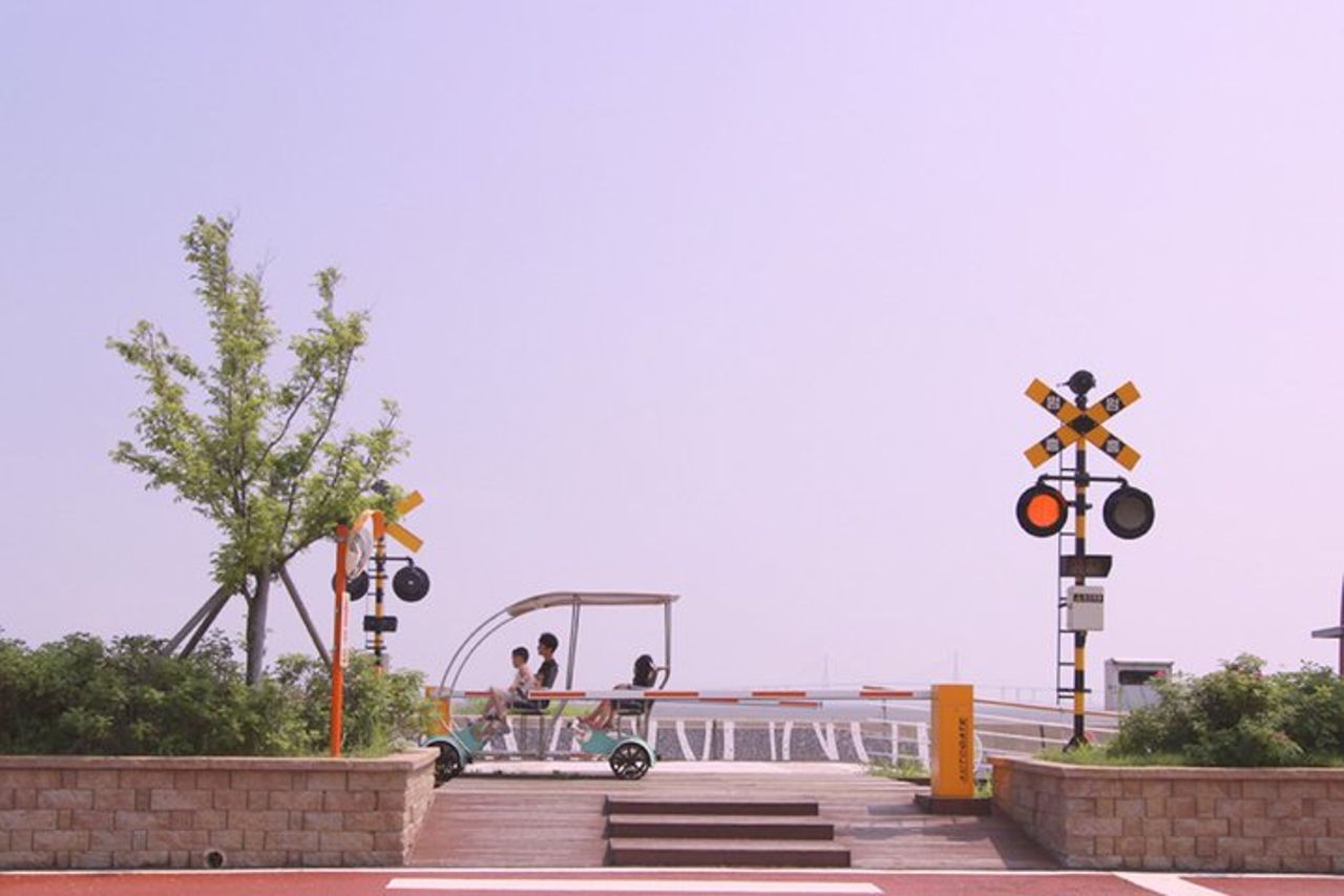 Tour di un giorno a Cherry Blossoms Incheon — 7