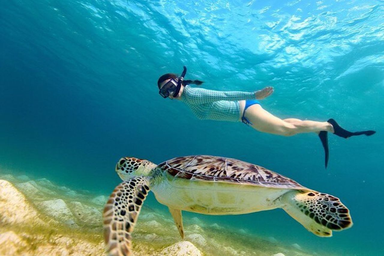 Avventura di snorkeling con avvistamento delle tartarughe di San Juan con video — 6