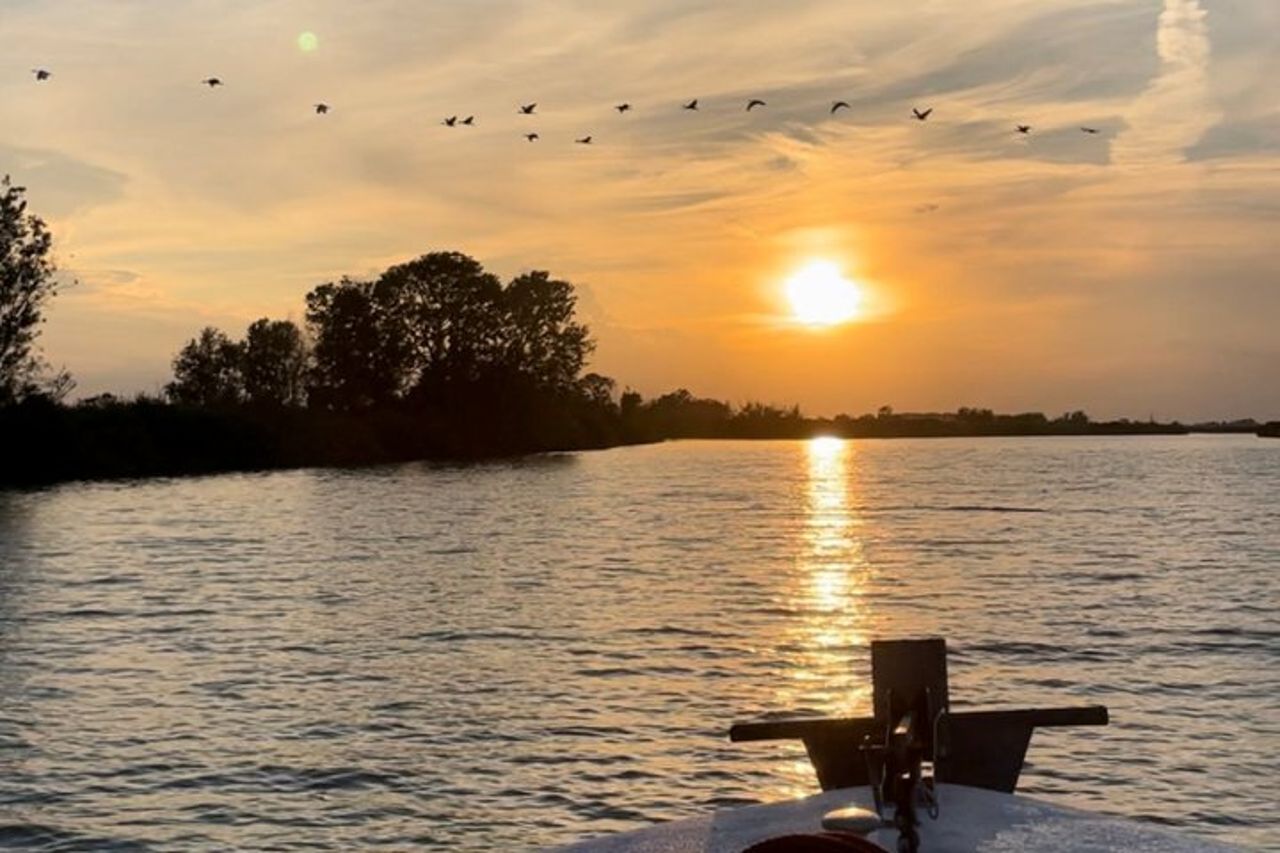 Esplora l'Isola dell'Amore e la fauna selvatica in un tour in barca del Delta del Po — 7