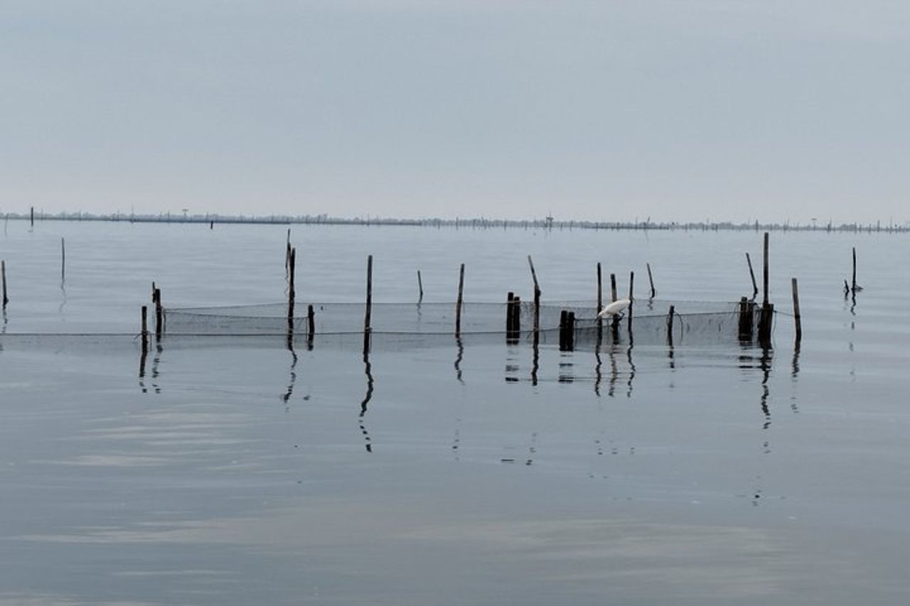 Esplora l'Isola dell'Amore e la fauna selvatica in un tour in barca del Delta del Po — 4