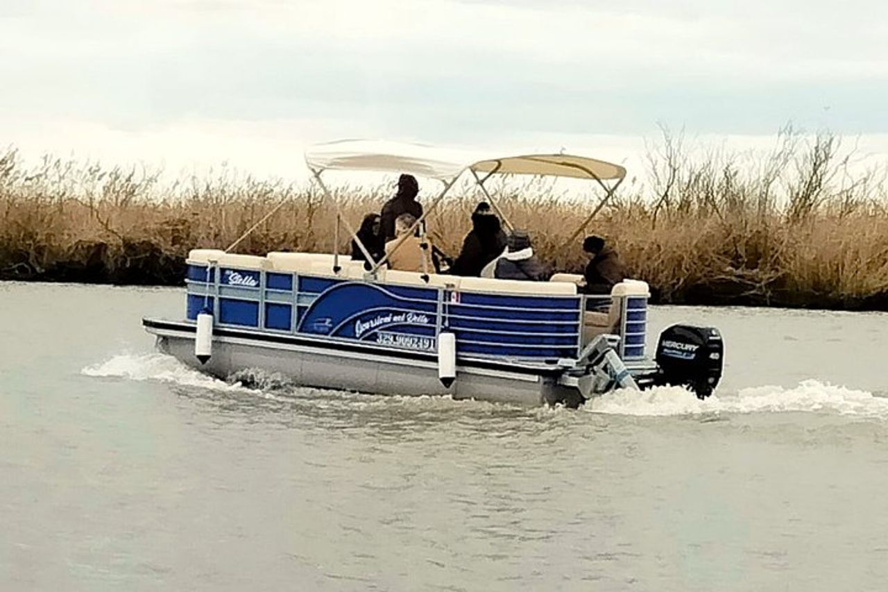 Esplora l'Isola dell'Amore e la fauna selvatica in un tour in barca del Delta del Po — 8