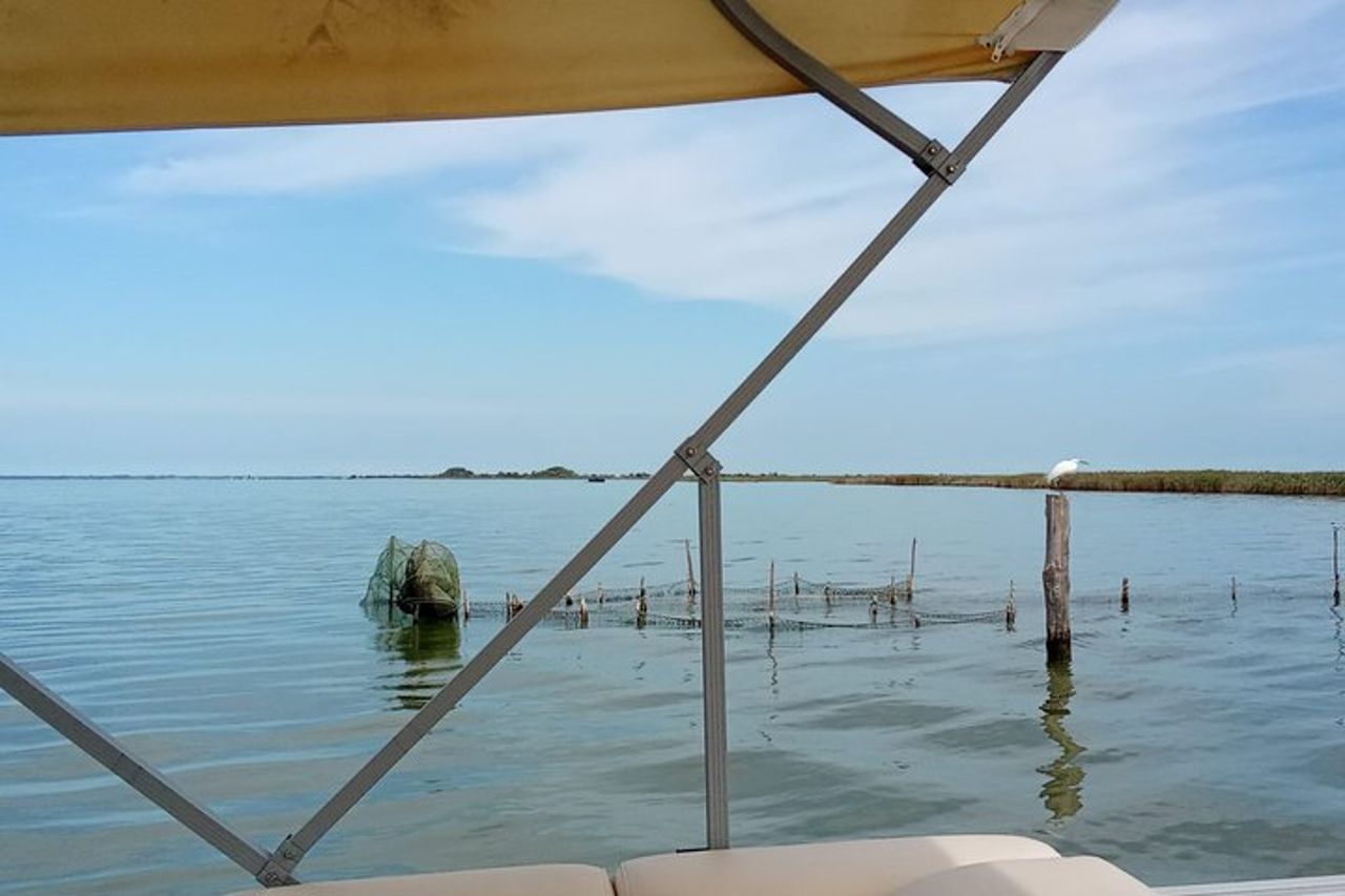 Esplora l'Isola dell'Amore e la fauna selvatica in un tour in barca del Delta del Po — 6