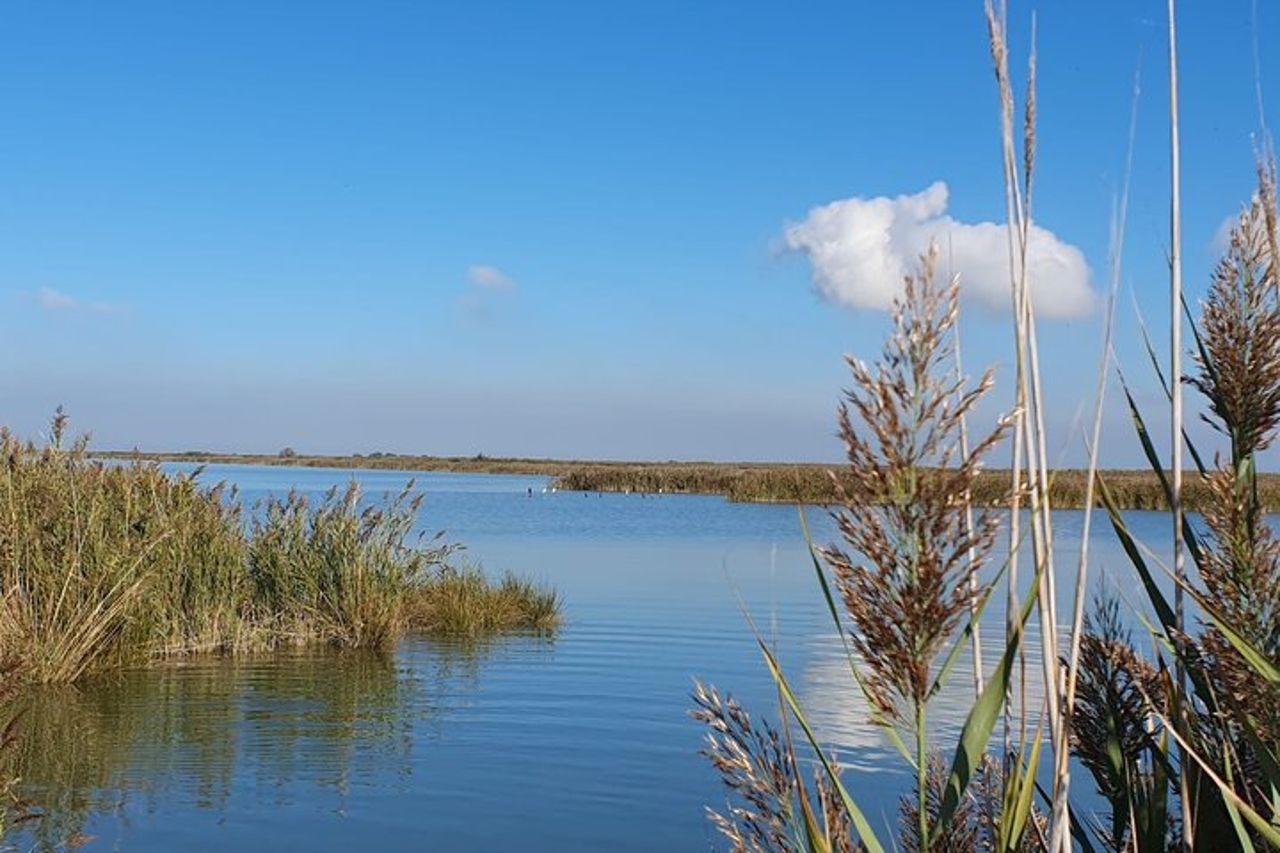 Esplora l'Isola dell'Amore e la fauna selvatica in un tour in barca del Delta del Po — 2