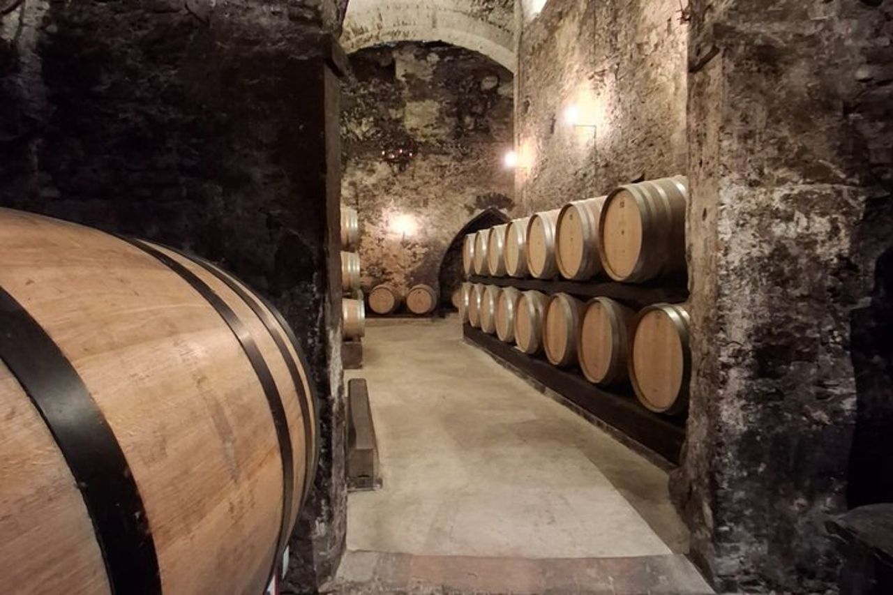Tour e Degustazione in Una delle Cantine più Belle del Mondo — 5
