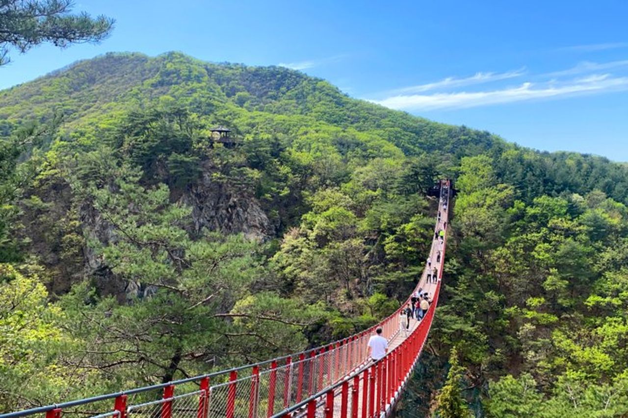 DMZ Tour : Incontro dei disertori di NK, 3° tunnel e ponte sospeso — 3