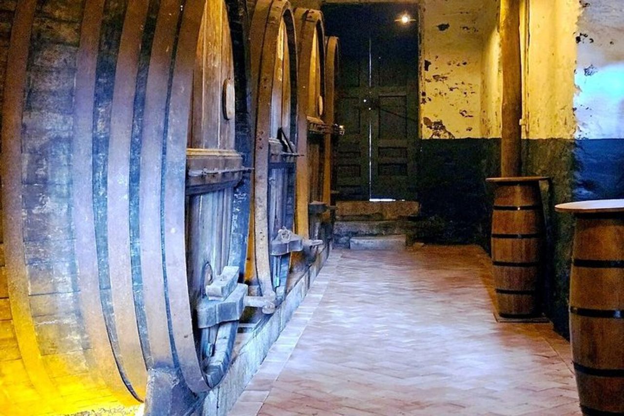 Tour dei vini della Valle del Douro: 3 visite ai vigneti, degustazioni di vini, pranzo — 6