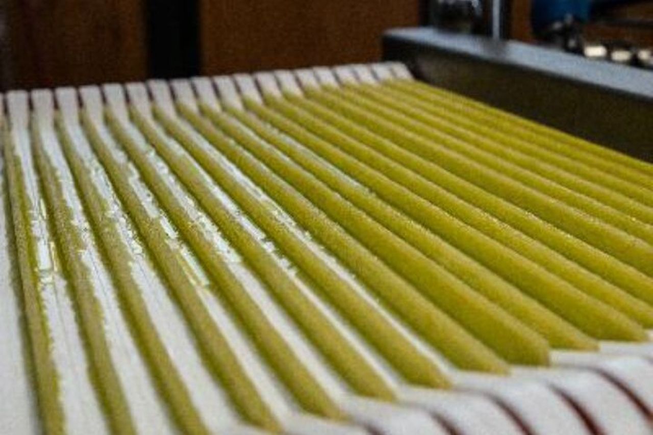 Degustazione Gourmet con Abbinamento Olio di Oliva al Lago di Garda — 9