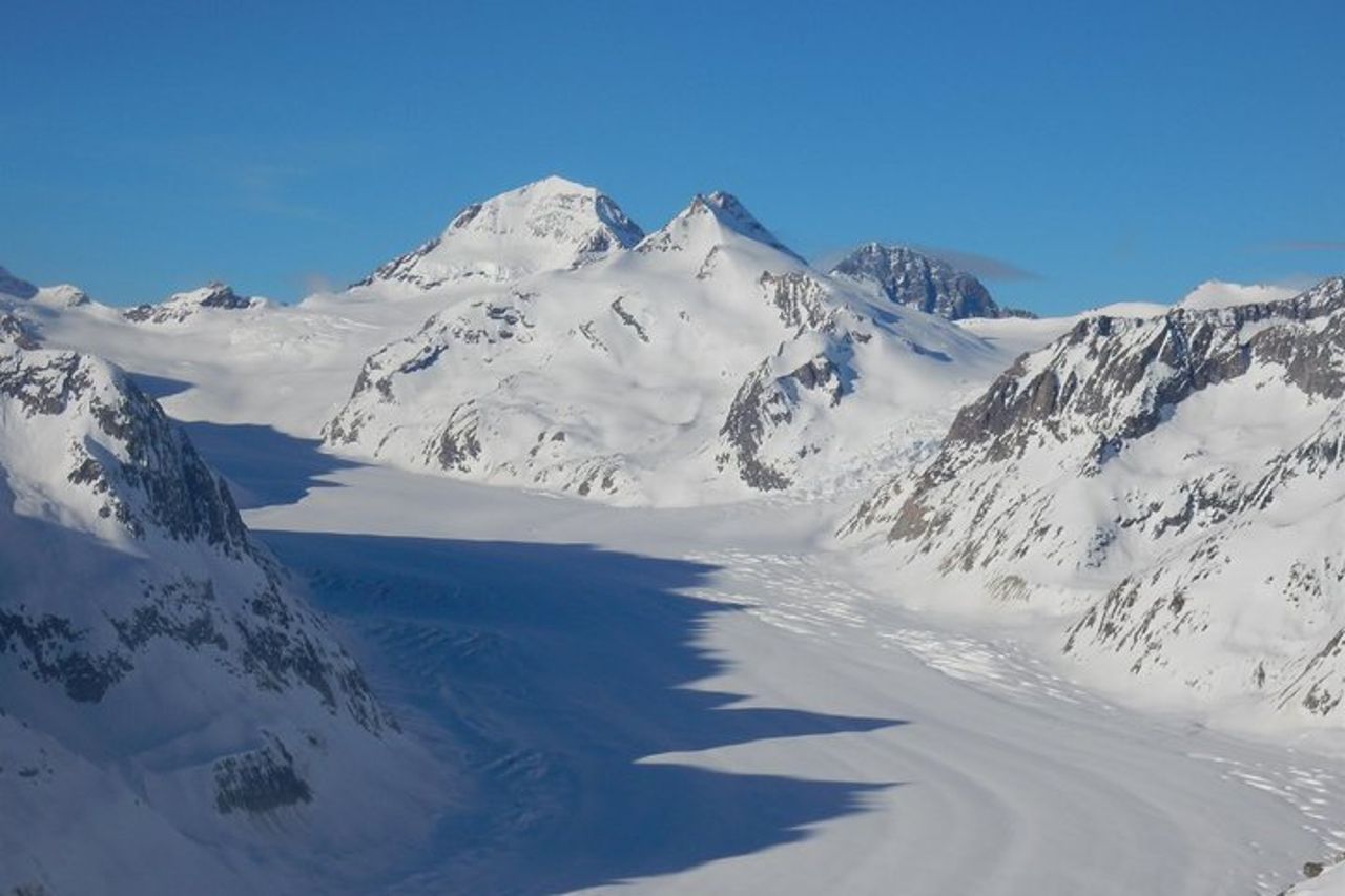 Gita privata di un giorno da Basilea a Grindelwald e Jungfrau — 4