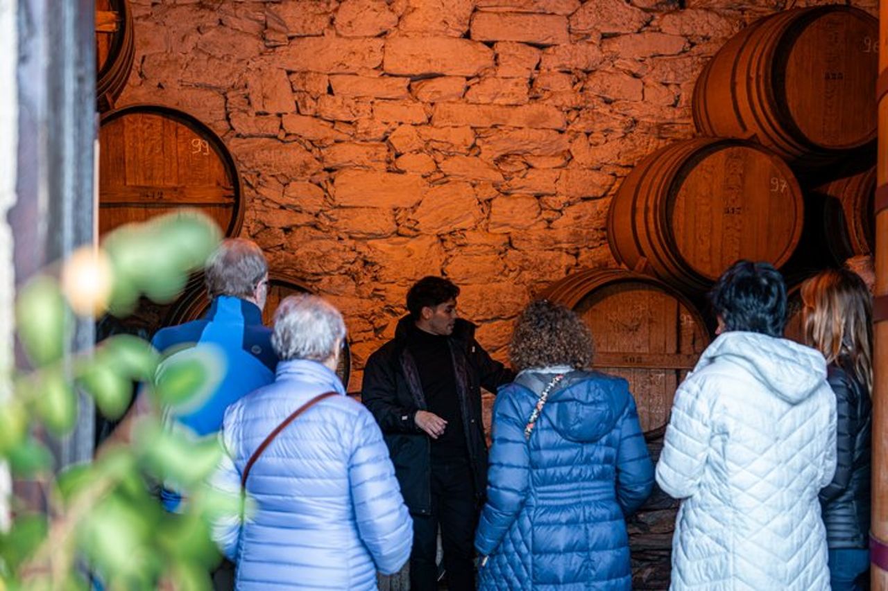 Tour per piccoli gruppi della Valle del Douro: 2 cantine, pranzo e crociera sul fiume — 9