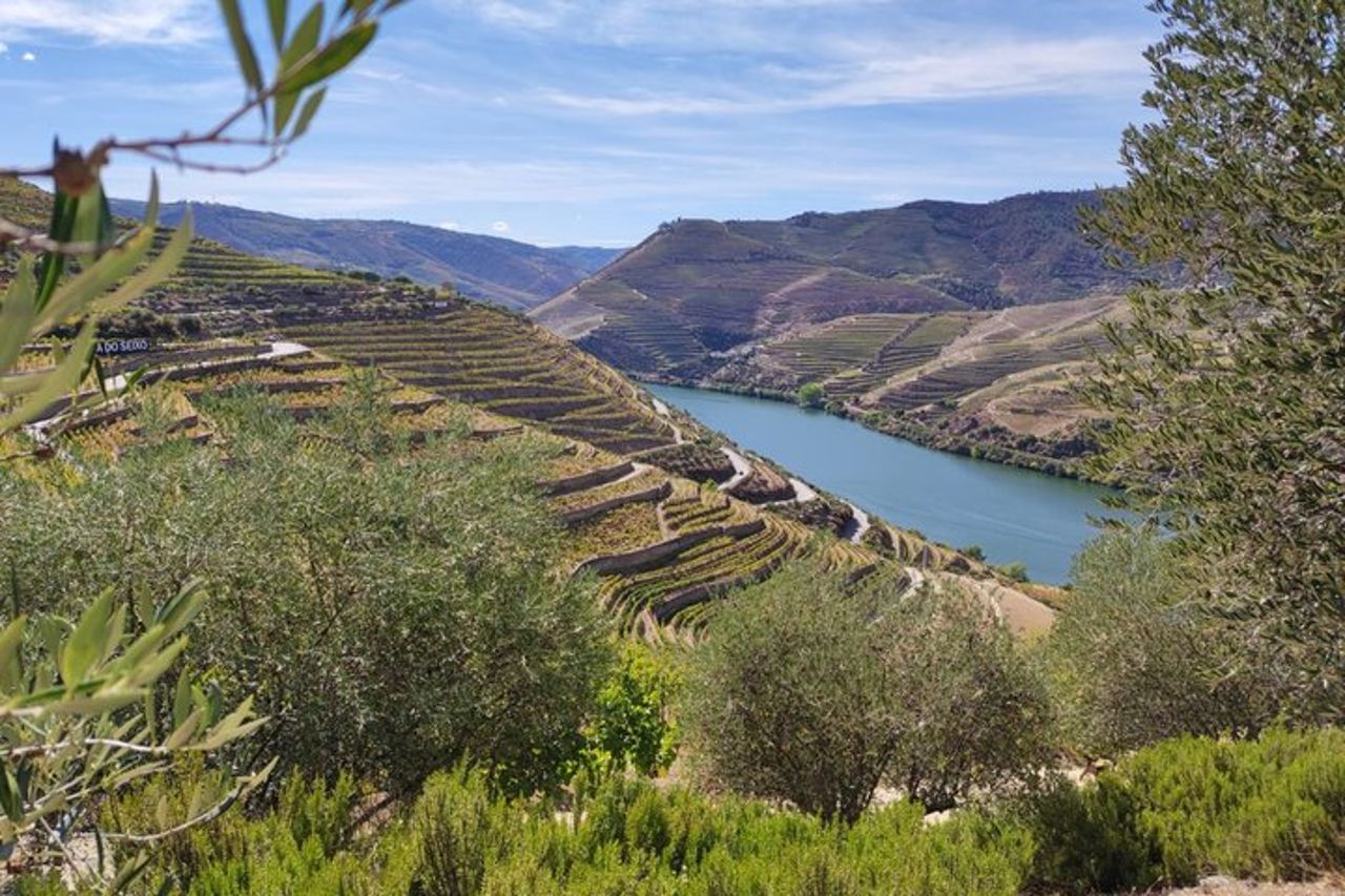 Tour per piccoli gruppi della Valle del Douro: 2 cantine, pranzo e crociera sul fiume — 2