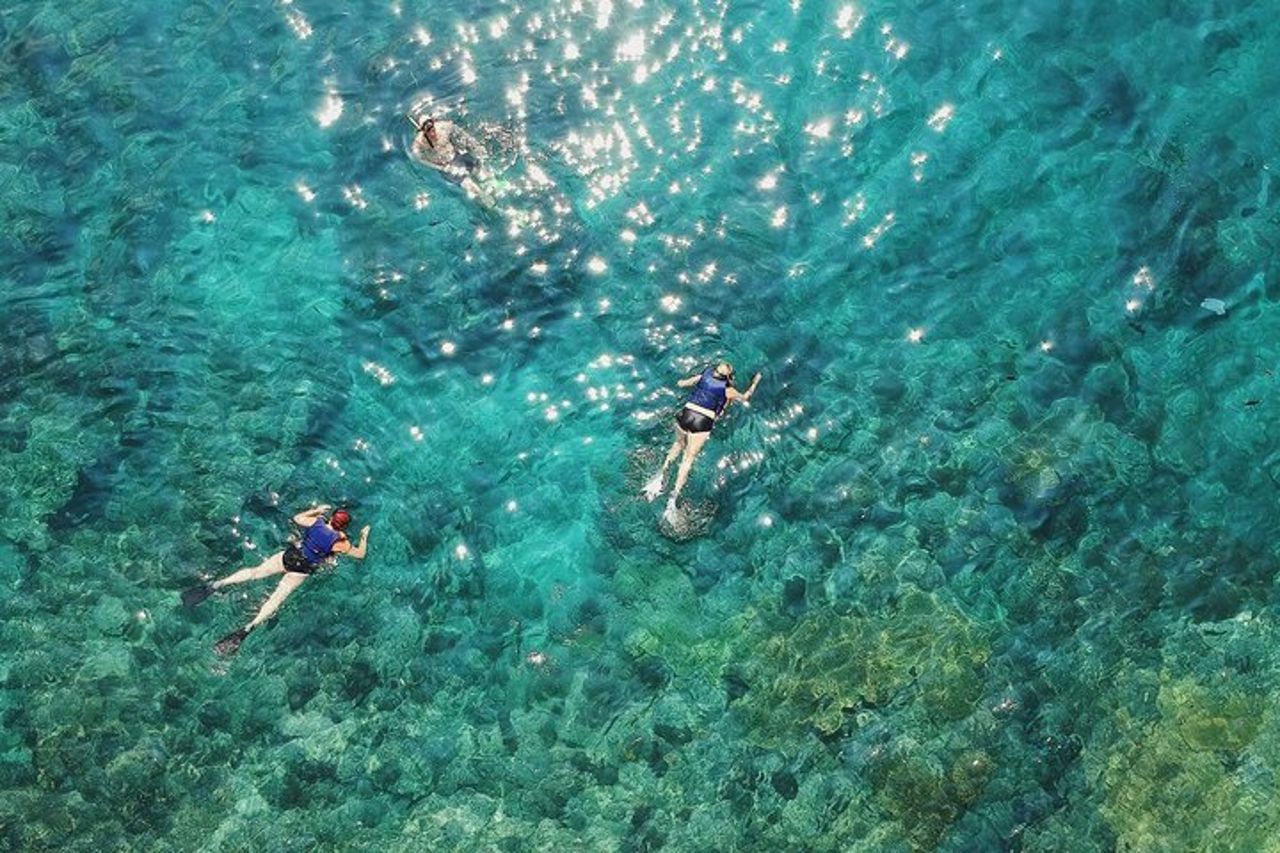 Lovina Family Adventure Dolphins, Alba e Snorkeling — 7