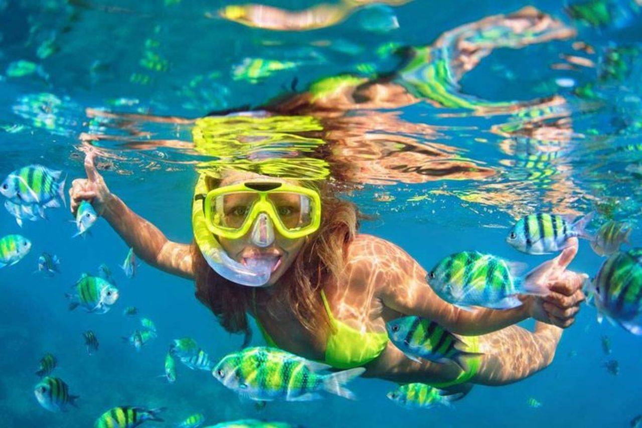 Lovina Family Adventure Dolphins, Alba e Snorkeling — 8