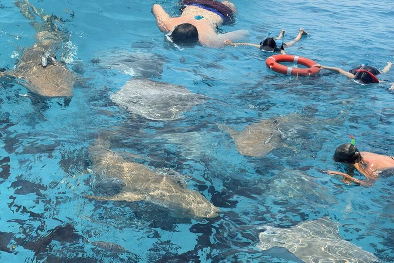 Maldive : Snorkeling con squali nutrice, barriera corallina, tour dei banchi di sabbia