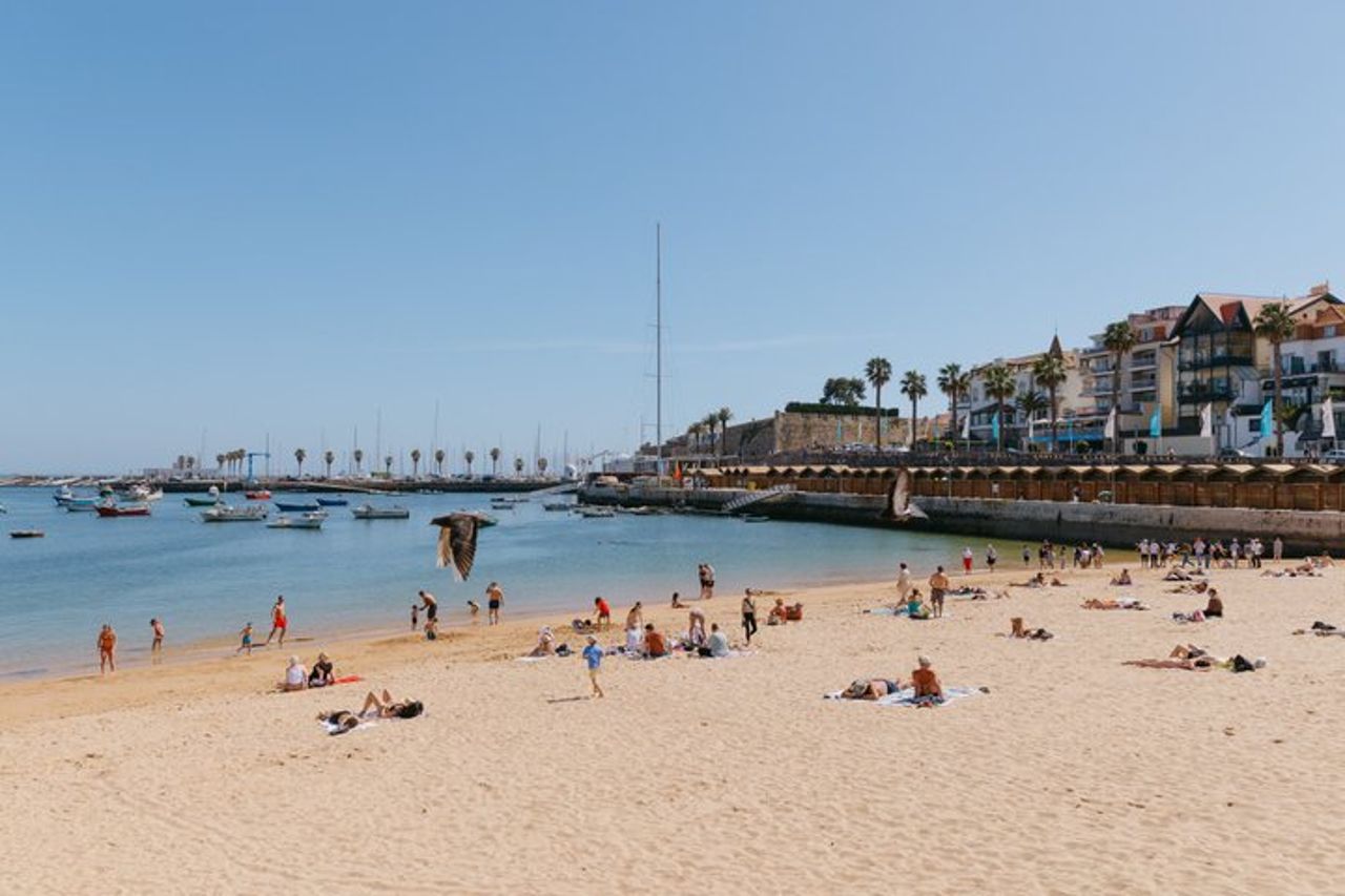 Piccoli gruppi Sintra, Pena, Regaleira e Cascais con biglietti — 9