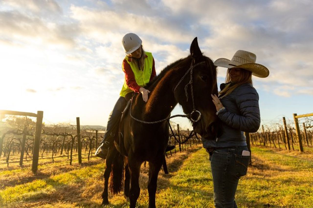Passeggiata a cavallo all'alba a Hunter Valley — 2