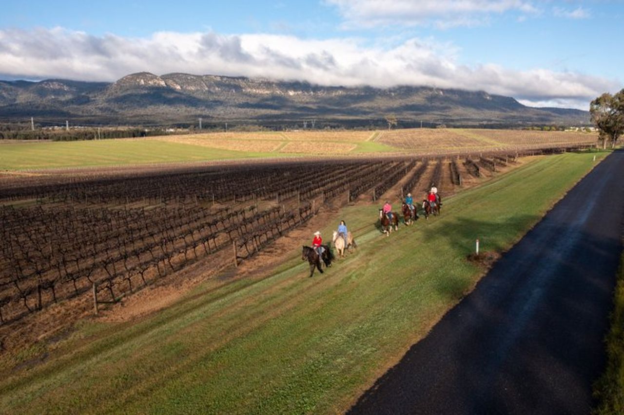 Passeggiata a cavallo all'alba a Hunter Valley — 3