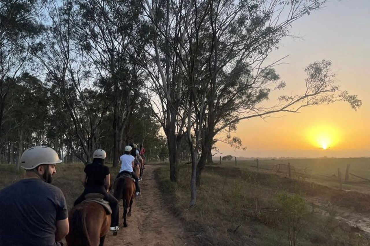 Passeggiata a cavallo all'alba a Hunter Valley — 5