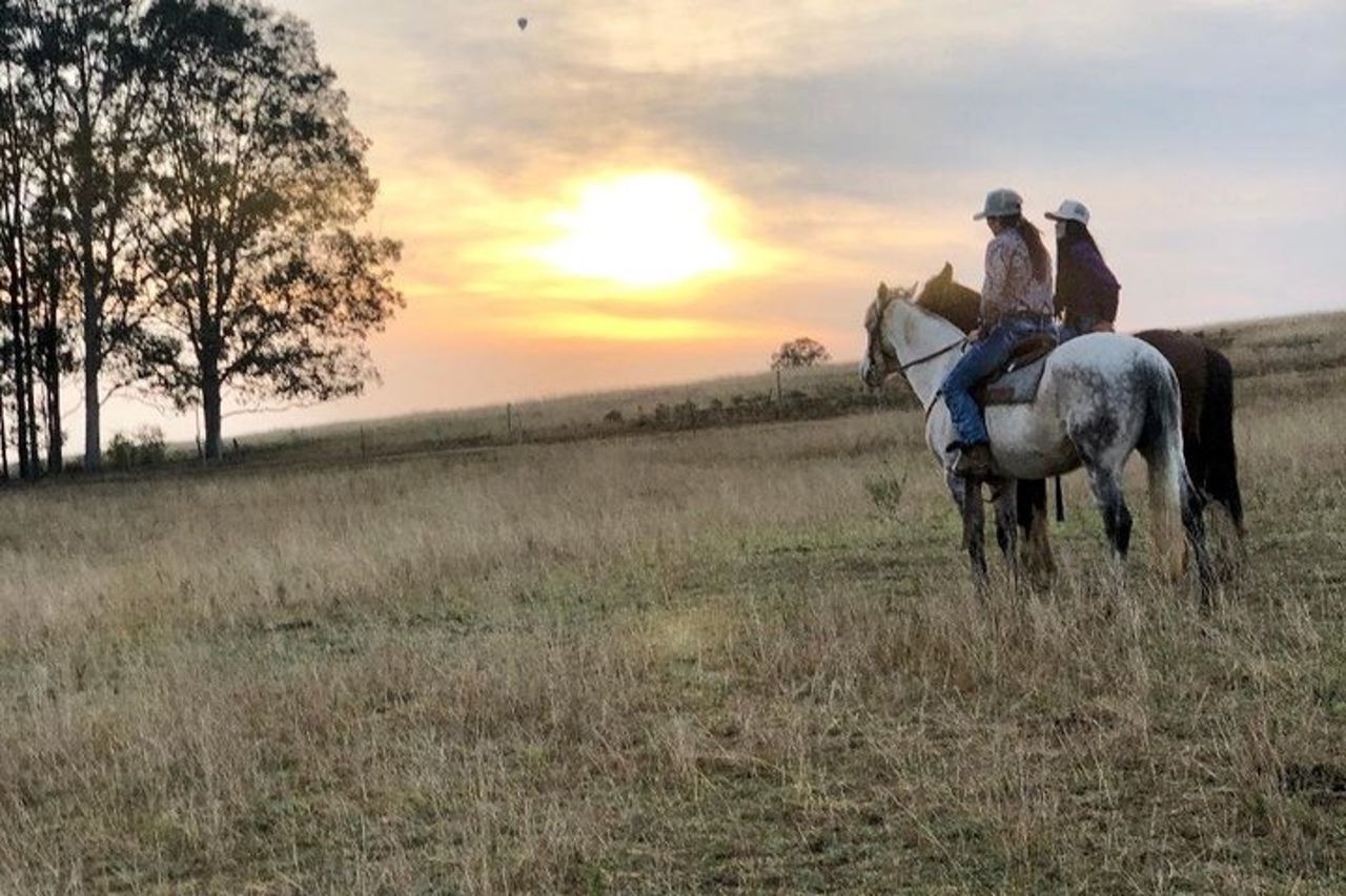 Passeggiata a cavallo all'alba a Hunter Valley
