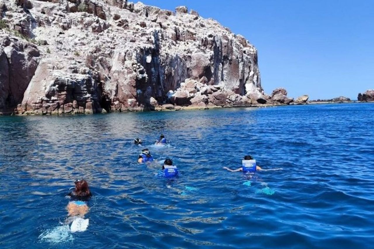 Tour tutto compreso dell'isola Espíritu Santo e Balandra
